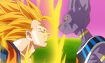 Voir la critique de Dragon Ball Z : La Bataille des Dieux [2015]