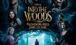 Voir la critique de Into the Woods : Promenons-nous dans les bois [2015]