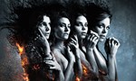 Voir la fiche Witches of East End