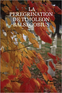 La pérégrination de Timoléon Balségobius [2006]
