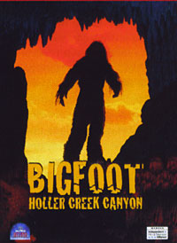 Bigfoot Holler Creek Canyon