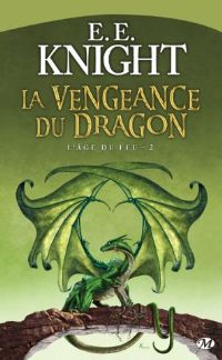 L'Âge du Feu : La vengeance du dragon #2 [2009]