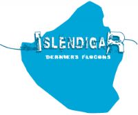 Islendigar [2013]