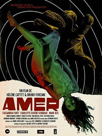 Amer [2010]