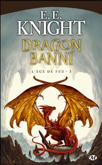 L'Âge du Feu : Dragon banni #3 [2009]
