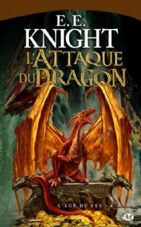 L'Âge du Feu : L'attaque du dragon #4 [2010]