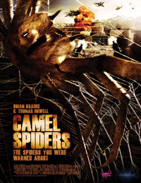 Camel Spiders