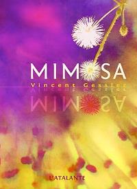 Mimosa