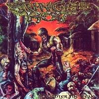 Jungle Rot : Slaughter The Weak [1997]