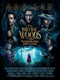 Into the Woods : Promenons-nous dans les bois [2015]