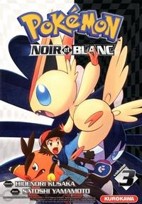 Pokemon Noir et Blanc