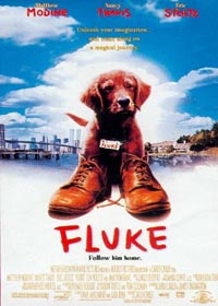 Fluke [1995]