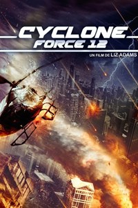 Cyclone force 12 [2013]