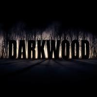 Darkwood [2017]