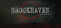 The Brookhaven Experiment [2016]