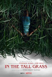 In the tall grass : Dans les hautes herbes [2019]