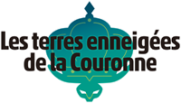 Pokémon Épée / Bouclier : Les terres enneigées de la Couronne - eshop Switch