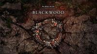 The Elder Scrolls Online : Blackwood - PS5