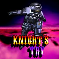 Knight's Try - eshop Switch