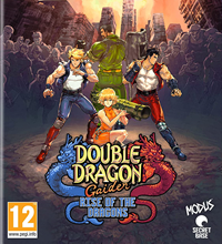 Double Dragon Gaiden : Rise Of The Dragons - Switch
