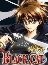 Black Cat [2005]