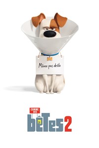 Comme des bêtes 2 [2019]