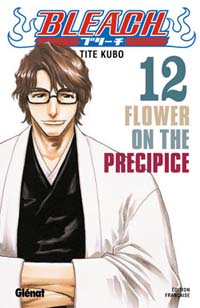 Flower on the precipice : Bleach, tome 12