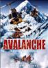 Voir la fiche Danger Avalanche