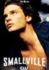 Smallville - Coffret intégrale Saison 5 - 6DVD DVD 16/9 - Warner Home Video