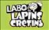 Labo Lapins Crétins - WII DVD Wii - Ubisoft