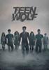 Voir la saison 1 de Teen Wolf [2011]