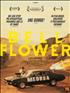 Voir la fiche Bellflower