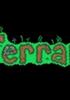 Terraria - PC PC - 505 Games Street