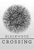 Blackwood Crossing - PSN Jeu en téléchargement Playstation 4