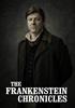 Voir la fiche The Frankenstein Chronicles