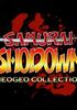 Voir la fiche Samurai Shodown NeoGeo Collection