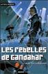 Voir la fiche Les Rebelles de Gandahar