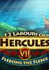 Voir la fiche 12 Labours Of Hercules VII : Fleecing The Fleece