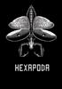 Hexapoda - PC Jeu en téléchargement PC