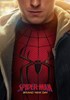 Voir la fiche Spider-Man Brand New Day