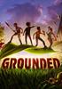 Voir la fiche Grounded