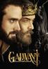 Voir la fiche Galavant