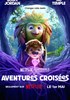 Voir la fiche Aventures croisées Voir la fiche Aventures croisées