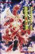 Flame of Recca, tome 33 12 cm x 18 cm - Tonkam