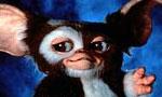 Gremlins le retour du remake/Reboot ? : Warner ne renonce pas à faire revivre nos Gremlins