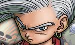 Voir la critique de Dragon Quest Monsters Joker