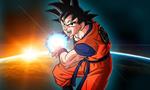 Voir la critique de Dragon Ball Z : Budokai Tenkaichi 2