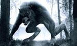 Werewolf: la nuit du loup-garou