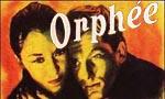 Orphée