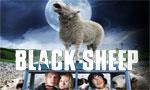 Black Sheep en avant-première aux Utopiales 2007 : La présentation du film comme si vous y étiez